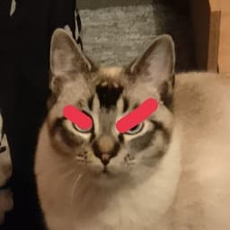 Alterrible's profile picture